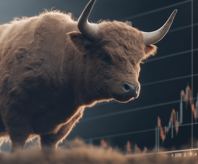 Diversificación de cartera y gestión de riesgos